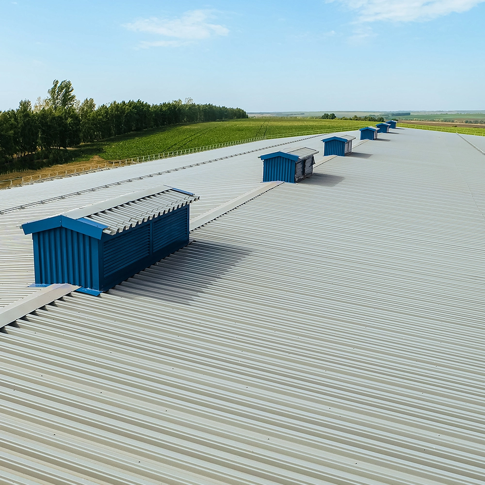 Professional Roof Maintenance Services