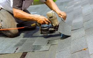 What Kind of Roofing Maintenance Do Professional Roofing Companies Do