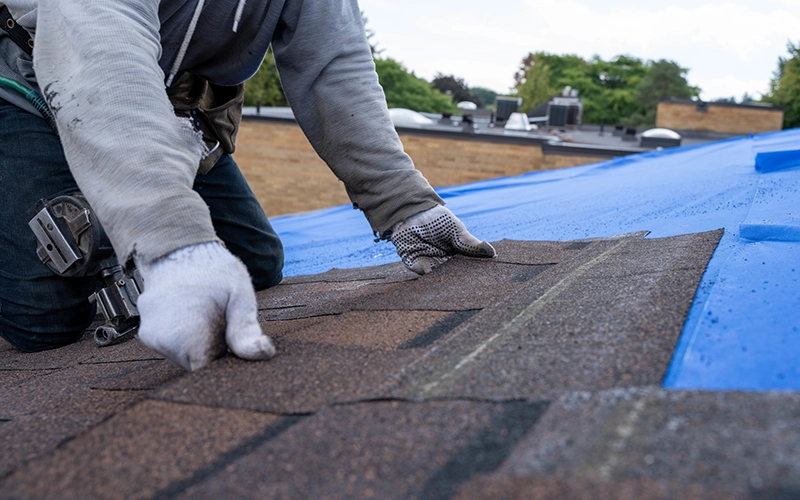 Why Every Homeowner Needs a Roof Maintenance Plan