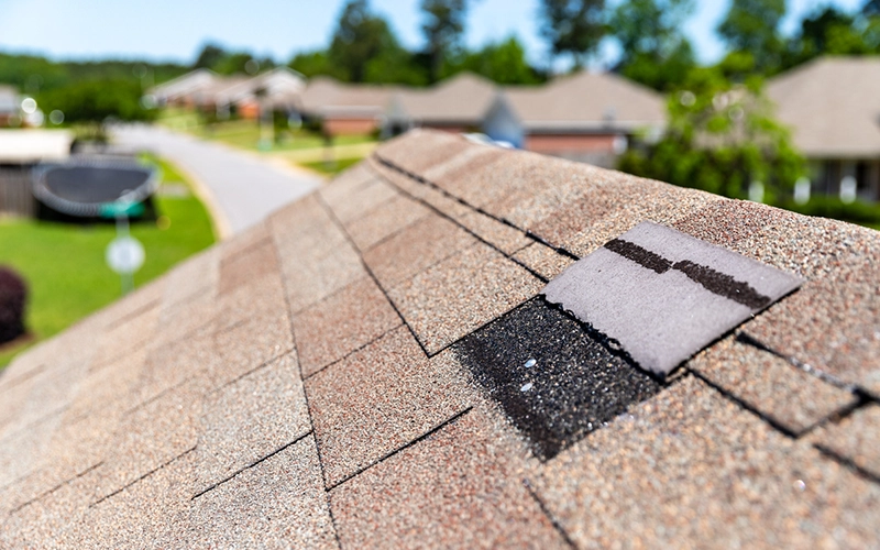 Roof Needs Maintenance